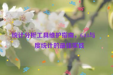 統(tǒng)計(jì)分析工具維護(hù)指南，GA4與百度統(tǒng)計(jì)的最佳實(shí)踐