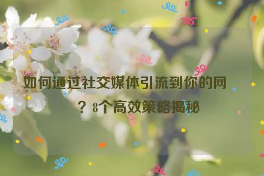 如何通過社交媒體引流到你的網(wǎng)站？8個高效策略揭秘