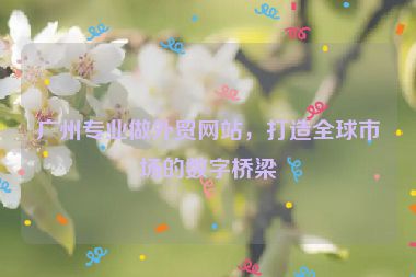 廣州專業(yè)做外貿(mào)網(wǎng)站，打造全球市場的數(shù)字橋梁