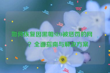 如何恢復(fù)因黑帽SEO被懲罰的網(wǎng)站？全面指南與解決方案