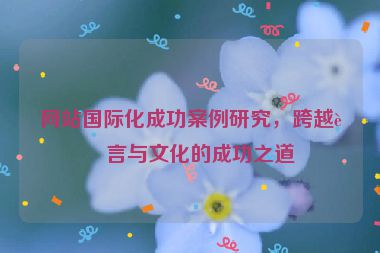網(wǎng)站國(guó)際化成功案例研究，跨越語言與文化的成功之道