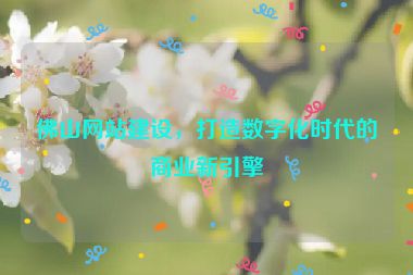 佛山網站建設，打造數(shù)字化時代的商業(yè)新引擎
