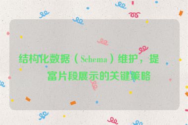 結(jié)構(gòu)化數(shù)據(jù)（Schema）維護，提升富片段展示的關(guān)鍵策略