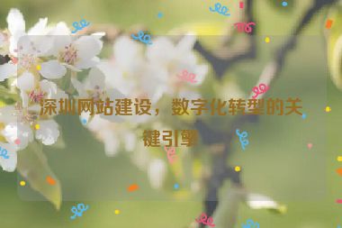 深圳網(wǎng)站建設(shè)，數(shù)字化轉(zhuǎn)型的關(guān)鍵引擎