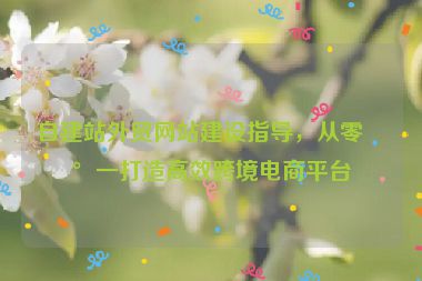 自建站外貿(mào)網(wǎng)站建設(shè)指導(dǎo)，從零到一打造高效跨境電商平臺(tái)