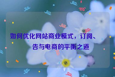 如何優(yōu)化網(wǎng)站商業(yè)模式，訂閱、廣告與電商的平衡之道