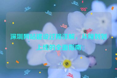 深圳網(wǎng)站建設(shè)過程詳解，從規(guī)劃到上線的全面指南