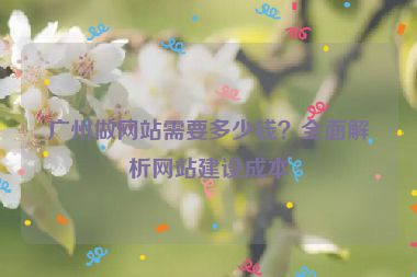 廣州做網(wǎng)站需要多少錢？全面解析網(wǎng)站建設(shè)成本
