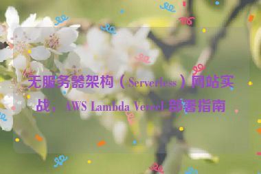 無服務(wù)器架構(gòu)（Serverless）網(wǎng)站實戰(zhàn)，AWS Lambda Vercel 部署指南