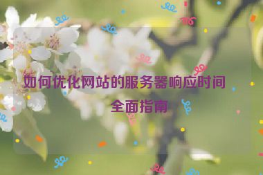 如何優(yōu)化網(wǎng)站的服務器響應時間，全面指南