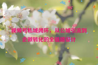 視頻號(hào)私域閉環(huán)，從公域引流到企微轉(zhuǎn)化的全鏈路設(shè)計(jì)