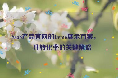 SaaS產(chǎn)品官網(wǎng)的Demo展示方案，提升轉(zhuǎn)化率的關(guān)鍵策略