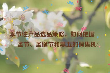 季節(jié)性產(chǎn)品選品策略，如何把握萬(wàn)圣節(jié)、圣誕節(jié)和黑五的銷售機(jī)遇