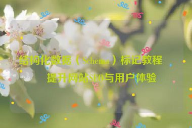 結(jié)構(gòu)化數(shù)據(jù)（Schema）標(biāo)記教程，提升網(wǎng)站SEO與用戶(hù)體驗(yàn)