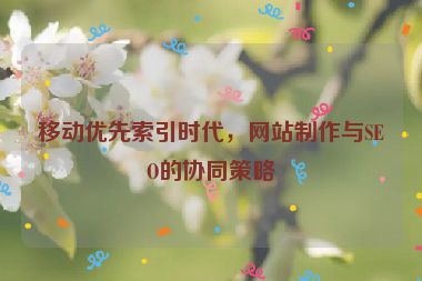 移動(dòng)優(yōu)先索引時(shí)代，網(wǎng)站制作與SEO的協(xié)同策略