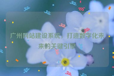 廣州網(wǎng)站建設(shè)系統(tǒng)，打造數(shù)字化未來的關(guān)鍵引擎
