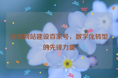 深圳網(wǎng)站建設(shè)百家號，數(shù)字化轉(zhuǎn)型的先鋒力量