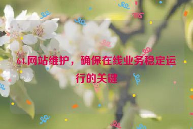 64.網(wǎng)站維護(hù)，確保在線業(yè)務(wù)穩(wěn)定運(yùn)行的關(guān)鍵