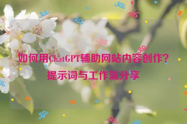 如何用ChatGPT輔助網(wǎng)站內(nèi)容創(chuàng)作？提示詞與工作流分享