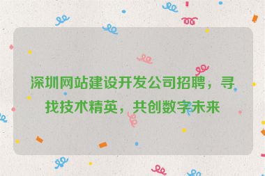 深圳網(wǎng)站建設(shè)開發(fā)公司招聘，尋找技術(shù)精英，共創(chuàng)數(shù)字未來
