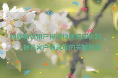 構建高效用戶投訴快速響應機制，提升客戶滿意度的關鍵策略