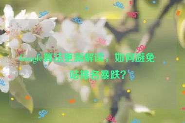 Google算法更新解讀，如何避免網(wǎng)站排名暴跌？