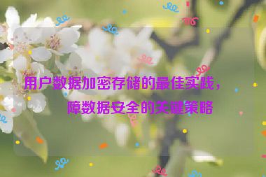 用戶數(shù)據(jù)加密存儲的最佳實踐，保障數(shù)據(jù)安全的關(guān)鍵策略