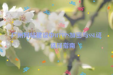 廣州網(wǎng)站建設(shè)中HTTPS加密與SSL證書選擇指南