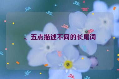 、五點(diǎn)描述不同的長(zhǎng)尾詞