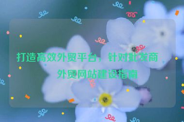 打造高效外貿(mào)平臺(tái)，針對(duì)批發(fā)商的外貿(mào)網(wǎng)站建設(shè)指南