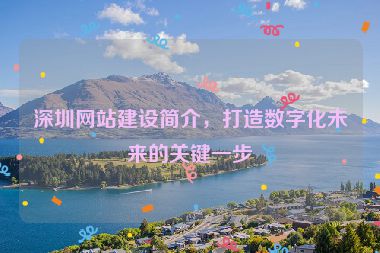 深圳網(wǎng)站建設(shè)簡介，打造數(shù)字化未來的關(guān)鍵一步