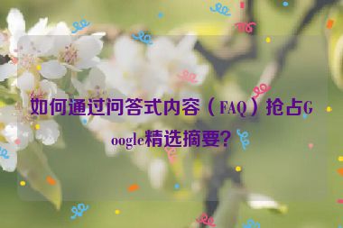 如何通過(guò)問(wèn)答式內(nèi)容（FAQ）搶占Google精選摘要？