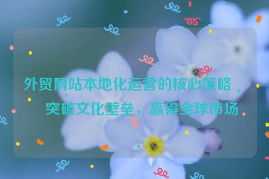 外貿(mào)網(wǎng)站本地化運(yùn)營(yíng)的核心策略，突破文化壁壘，贏得全球市場(chǎng)