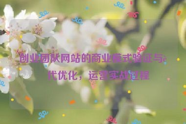 創(chuàng)業(yè)團(tuán)隊(duì)網(wǎng)站的商業(yè)模式驗(yàn)證與迭代優(yōu)化，運(yùn)營(yíng)實(shí)戰(zhàn)過(guò)程