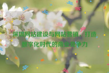 深圳網(wǎng)站建設(shè)與網(wǎng)站營(yíng)銷，打造數(shù)字化時(shí)代的商業(yè)競(jìng)爭(zhēng)力