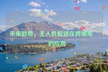 未來趨勢，無人機配送在跨境電商的應用