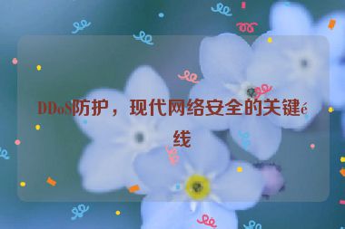 DDoS防護(hù)，現(xiàn)代網(wǎng)絡(luò)安全的關(guān)鍵防線