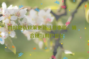 網(wǎng)站隱私政策更新注意事項，確保合規(guī)與用戶信任