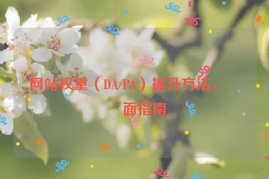 網(wǎng)站權(quán)重（DA/PA）提升方法，全面指南