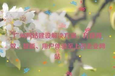 廣州網(wǎng)站建設(shè)解決方案，打造高效、智能、用戶(hù)體驗(yàn)至上的企業(yè)網(wǎng)站