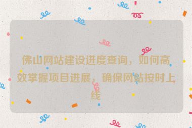 佛山網(wǎng)站建設進度查詢，如何高效掌握項目進展，確保網(wǎng)站按時上線