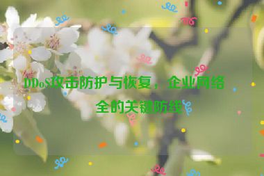 DDoS攻擊防護與恢復，企業(yè)網(wǎng)絡安全的關鍵防線