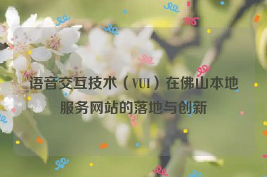 語(yǔ)音交互技術(shù)（VUI）在佛山本地服務(wù)網(wǎng)站的落地與創(chuàng)新