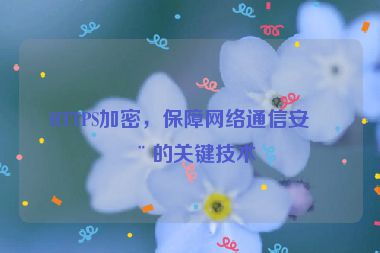 HTTPS加密，保障網(wǎng)絡(luò)通信安全的關(guān)鍵技術(shù)