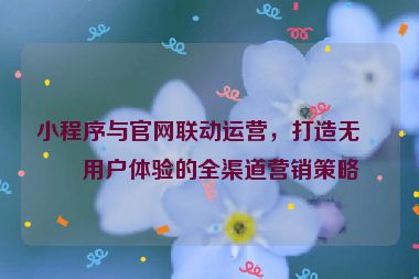 小程序與官網(wǎng)聯(lián)動運(yùn)營，打造無縫用戶體驗(yàn)的全渠道營銷策略
