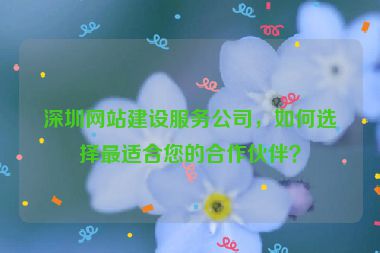 深圳網(wǎng)站建設(shè)服務(wù)公司，如何選擇最適合您的合作伙伴？