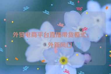 外貿(mào)電商平臺直播帶貨模式，海外新風(fēng)口