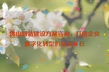 佛山網(wǎng)站建設(shè)方案咨詢，打造企業(yè)數(shù)字化轉(zhuǎn)型的堅(jiān)實(shí)基石