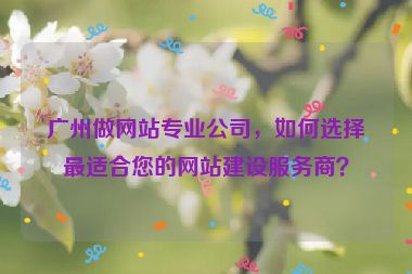 廣州做網(wǎng)站專業(yè)公司，如何選擇最適合您的網(wǎng)站建設(shè)服務(wù)商？