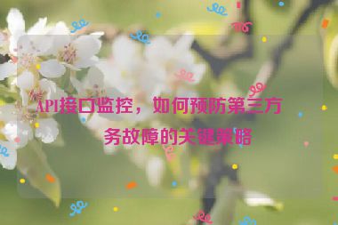 API接口監(jiān)控，如何預(yù)防第三方服務(wù)故障的關(guān)鍵策略